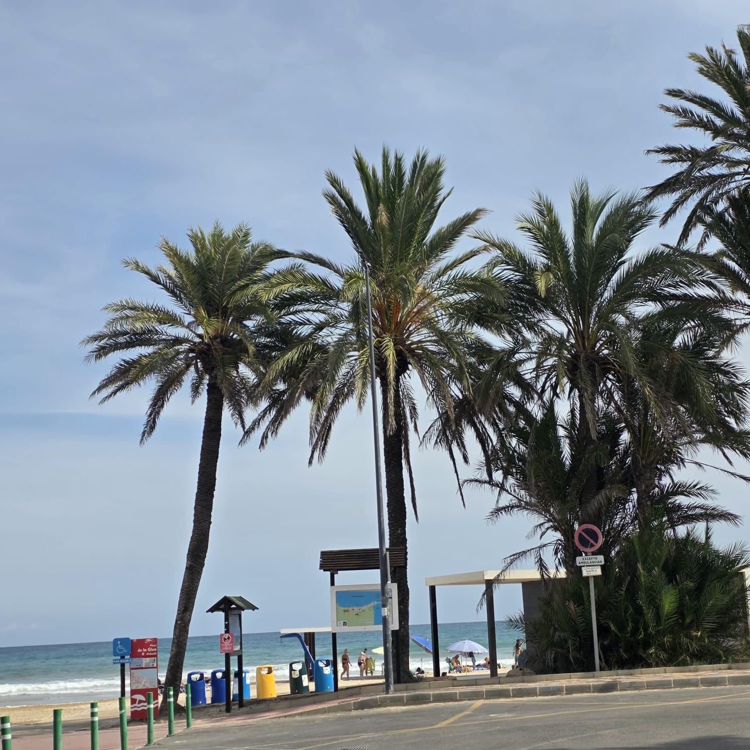 For sale - 3 Bedroom 2 Bathroom Apartment in Orihuela Costa - Altos De Campoamor  - Alicante