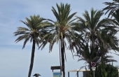 27-28-482-11-980/81559, 3 Bedroom 2 Bathroom Apartment in Orihuela Costa