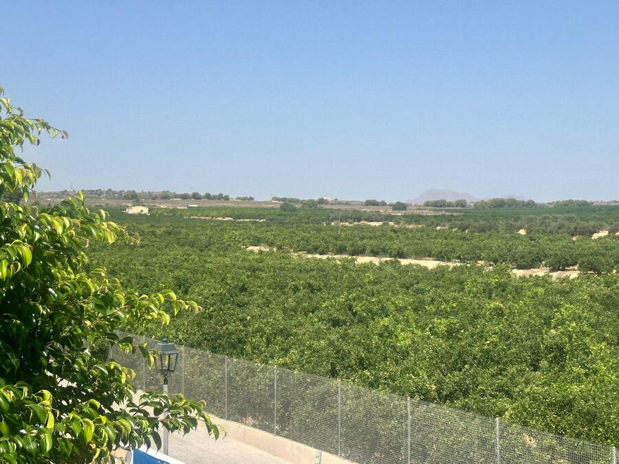 For sale - 3 Bedroom 2 Bathroom Villa in Algorfa - Inland  - Alicante