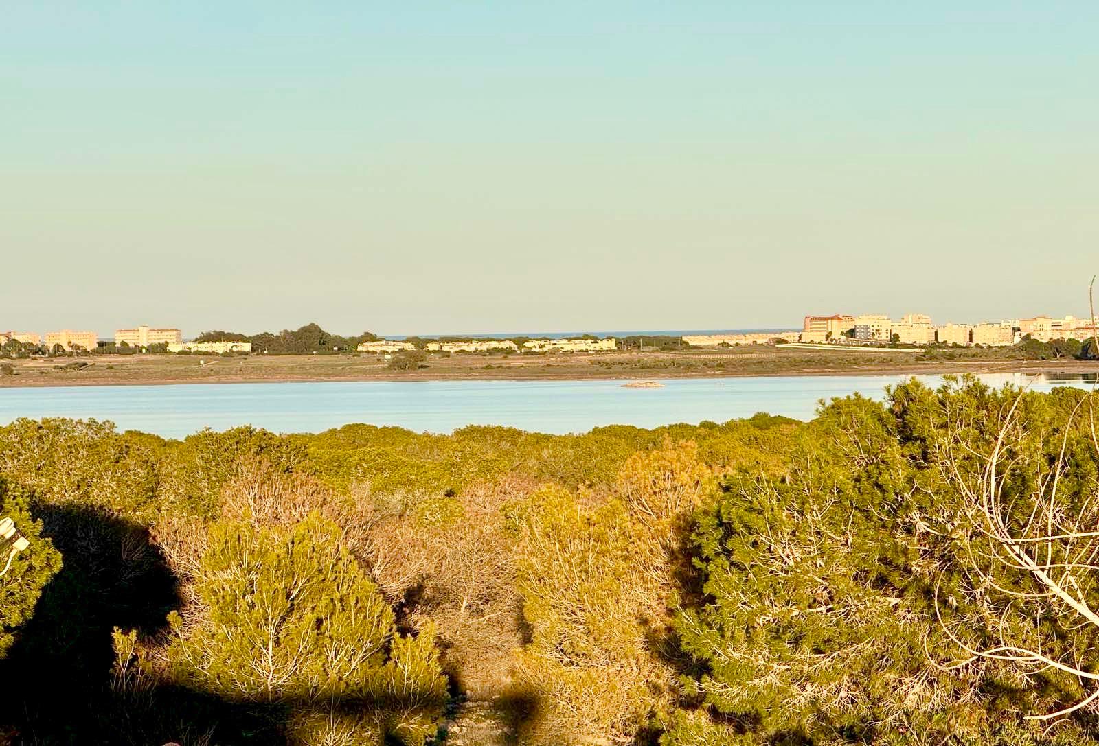 LMCD-81683: Town house for sale in Torrevieja