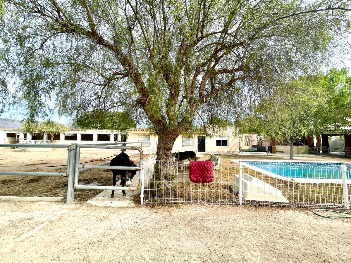 For sale - 3 Bedroom 2 Bathroom House - Finca - Cortijo in Orihuela - Orihuela Centro  - Alicante