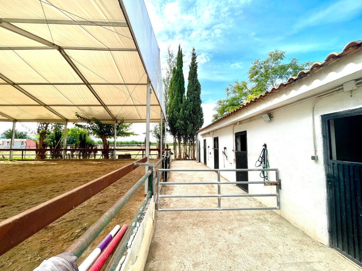 For sale - 3 Bedroom 2 Bathroom House - Finca - Cortijo in Orihuela - Orihuela Centro  - Alicante