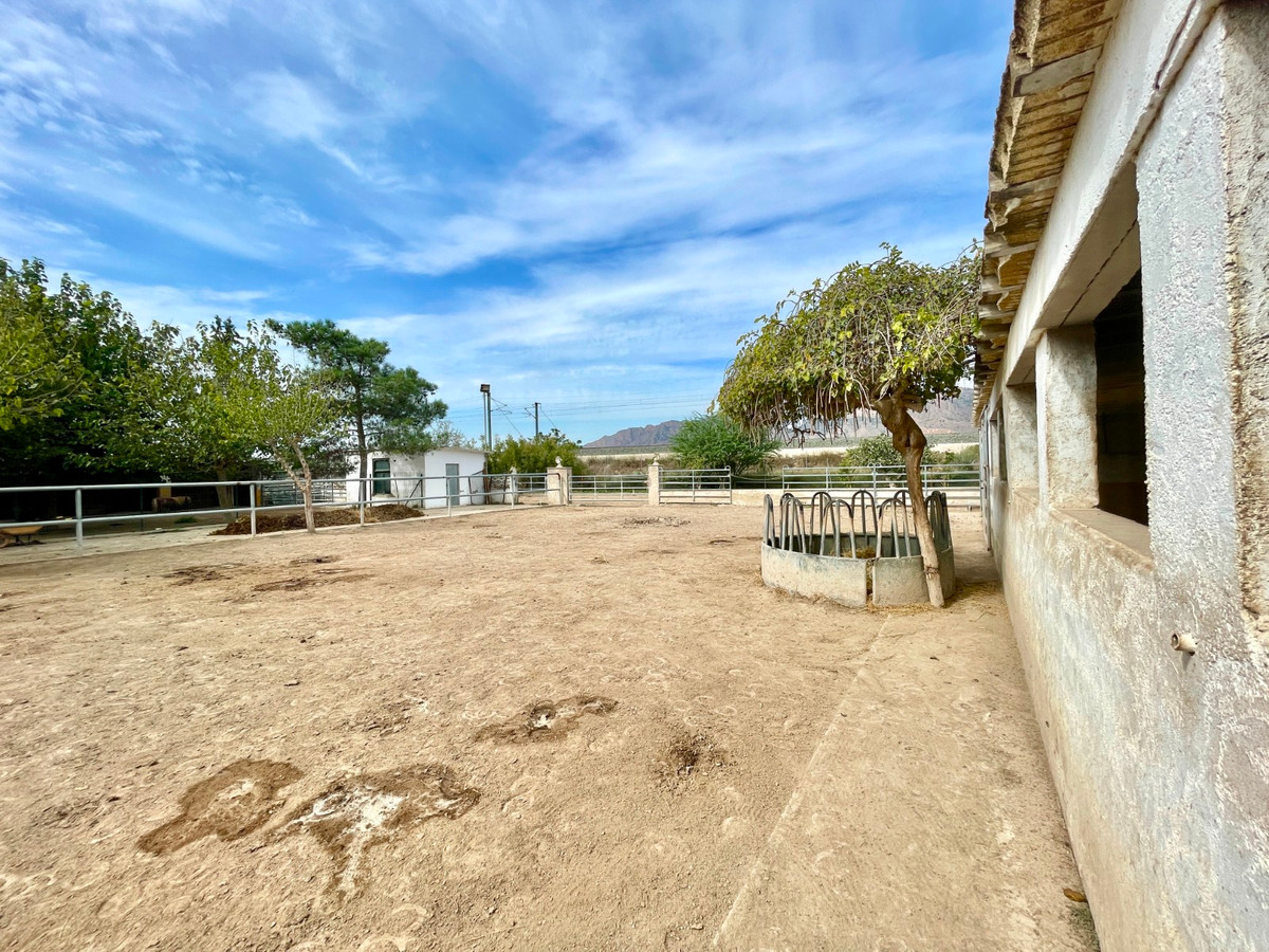 For sale - 3 Bedroom 2 Bathroom House - Finca - Cortijo in Orihuela - Orihuela Centro  - Alicante