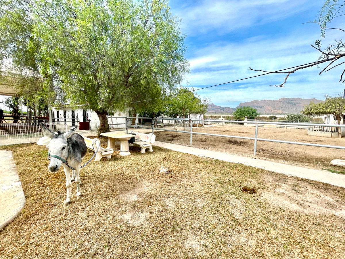 For sale - 3 Bedroom 2 Bathroom House - Finca - Cortijo in Orihuela - Orihuela Centro  - Alicante