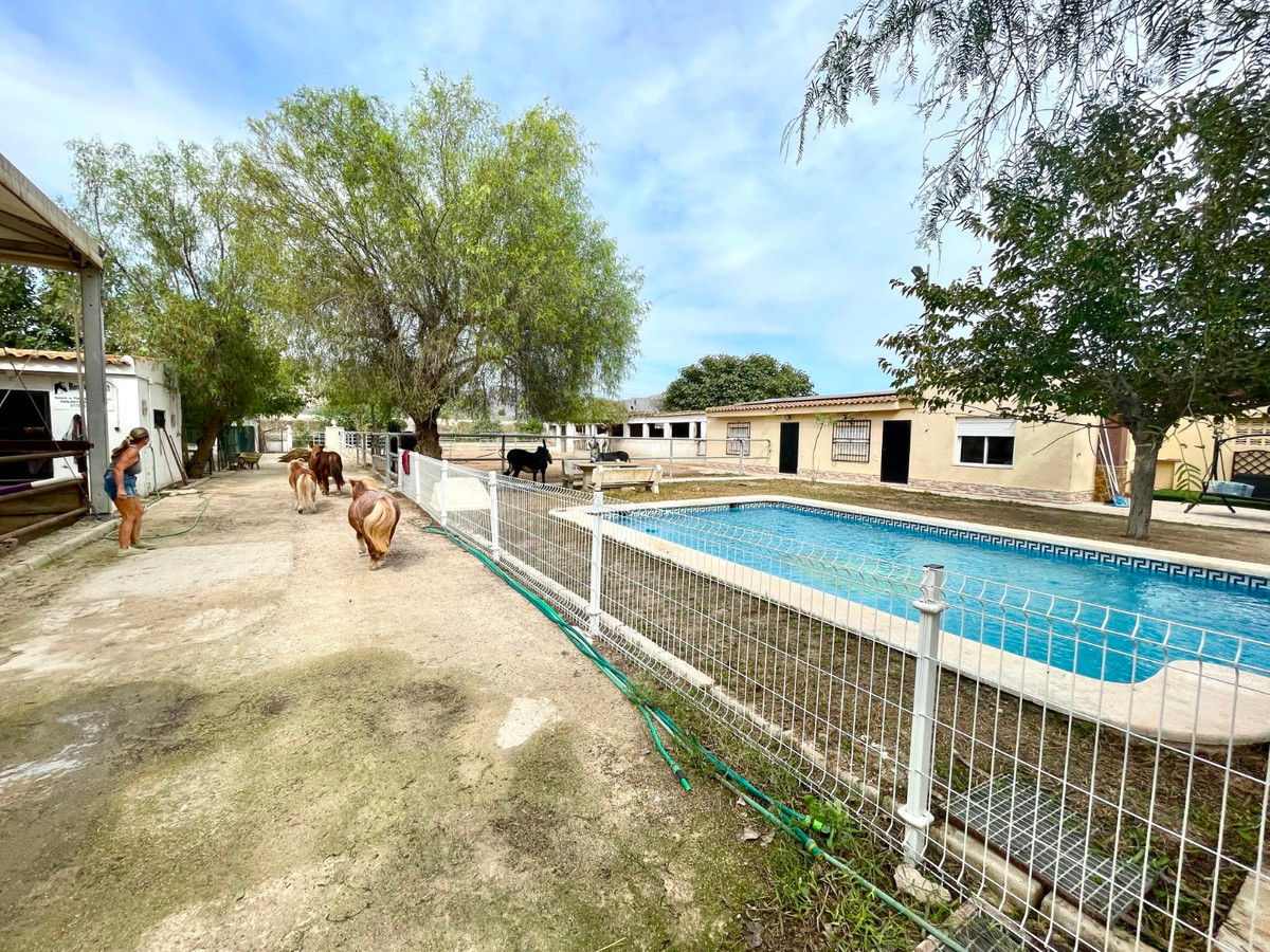 For sale - 3 Bedroom 2 Bathroom House - Finca - Cortijo in Orihuela - Orihuela Centro  - Alicante