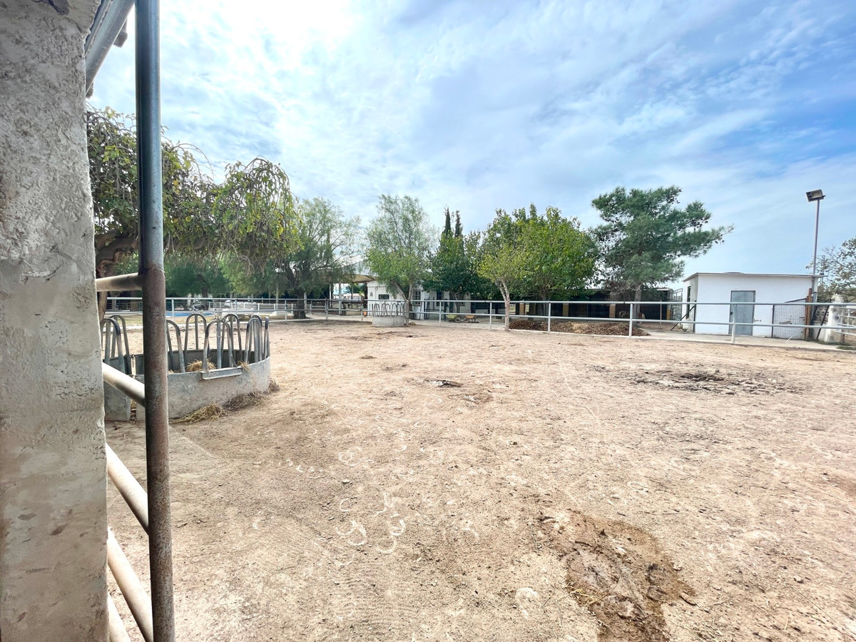For sale - 3 Bedroom 2 Bathroom House - Finca - Cortijo in Orihuela - Orihuela Centro  - Alicante