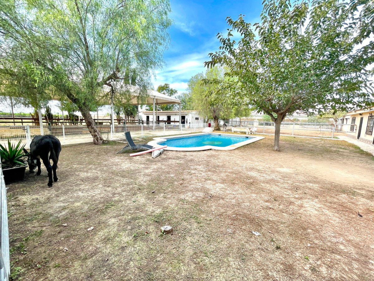For sale - 3 Bedroom 2 Bathroom House - Finca - Cortijo in Orihuela - Orihuela Centro  - Alicante