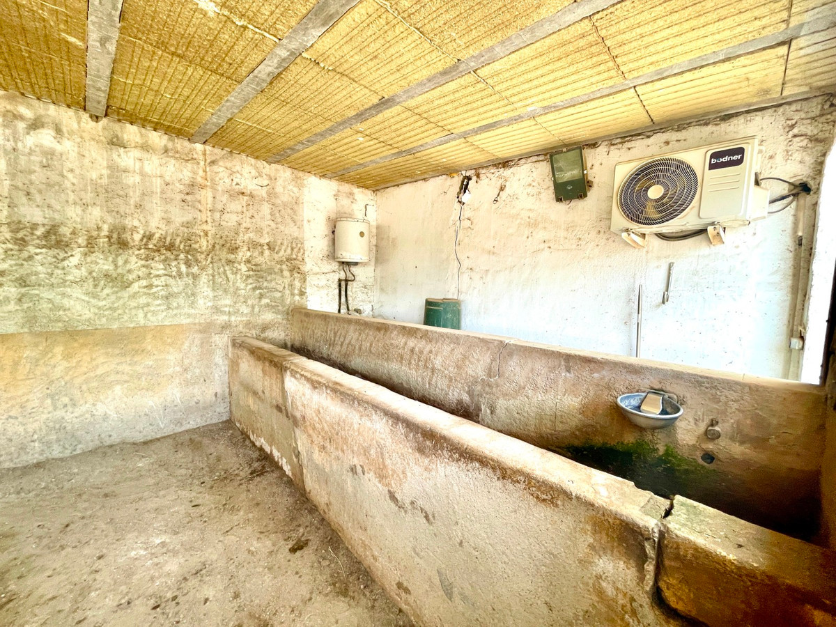 For sale - 3 Bedroom 2 Bathroom House - Finca - Cortijo in Orihuela - Orihuela Centro  - Alicante