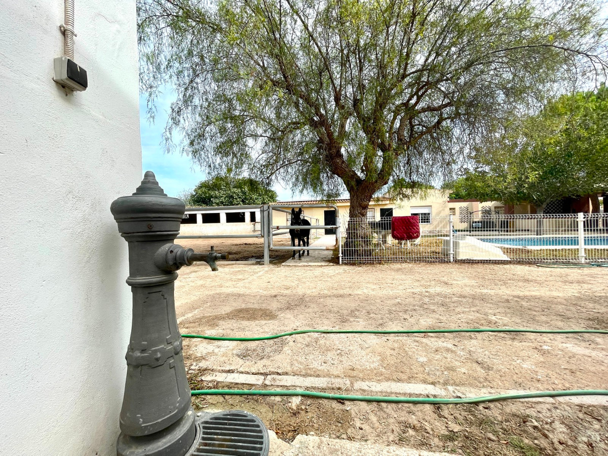 For sale - 3 Bedroom 2 Bathroom House - Finca - Cortijo in Orihuela - Orihuela Centro  - Alicante