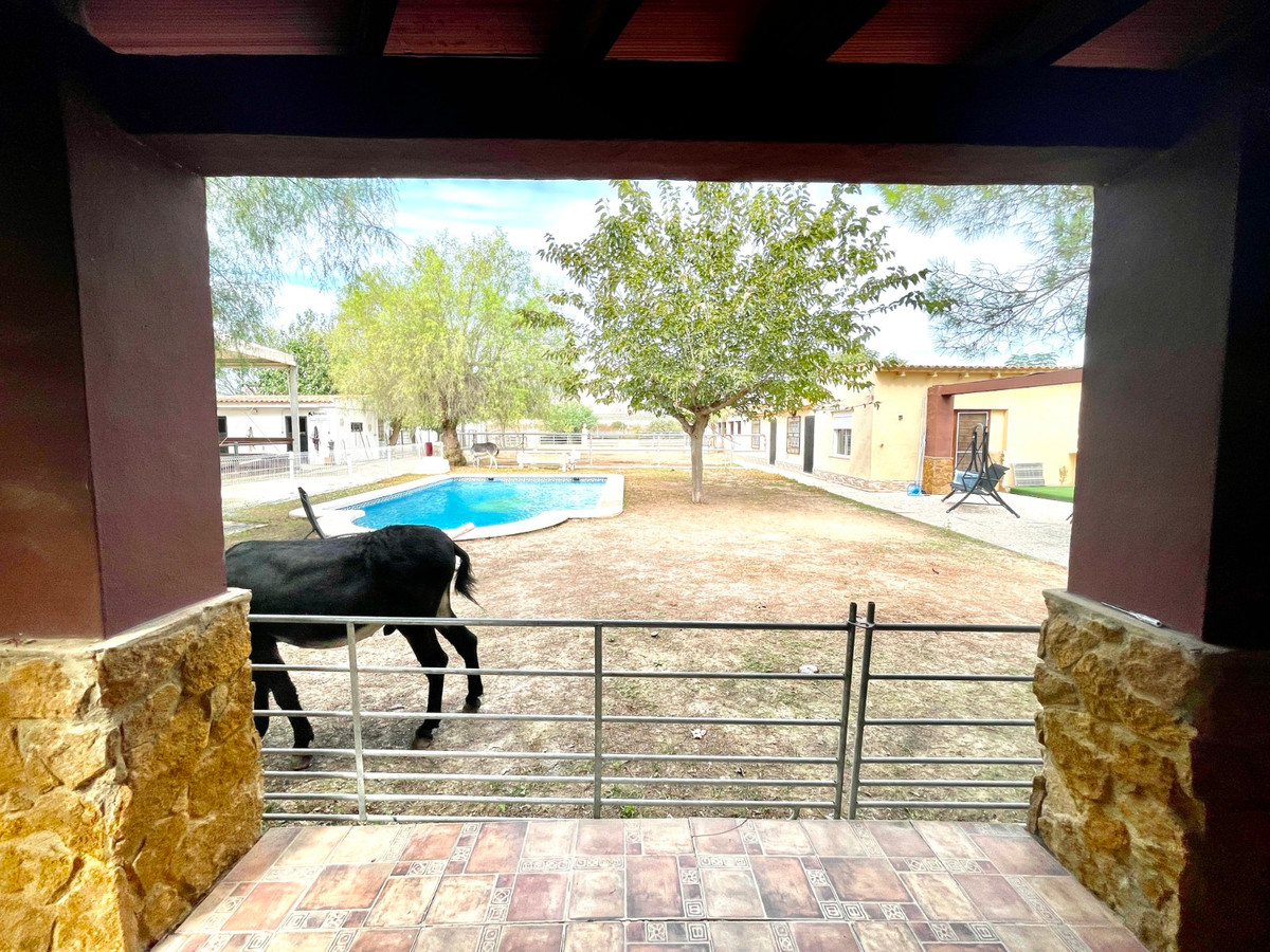 For sale - 3 Bedroom 2 Bathroom House - Finca - Cortijo in Orihuela - Orihuela Centro  - Alicante