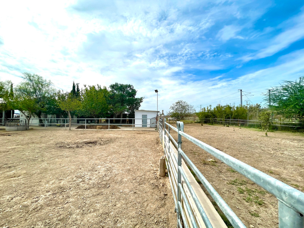 For sale - 3 Bedroom 2 Bathroom House - Finca - Cortijo in Orihuela - Orihuela Centro  - Alicante