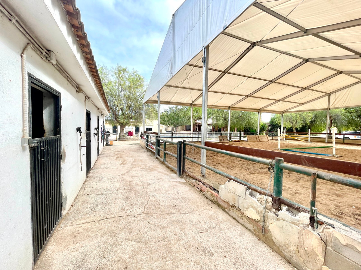 For sale - 3 Bedroom 2 Bathroom House - Finca - Cortijo in Orihuela - Orihuela Centro  - Alicante