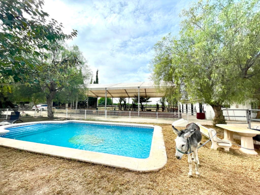 3 Bedroom 2 Bathroom House - Finca - Cortijo in Orihuela