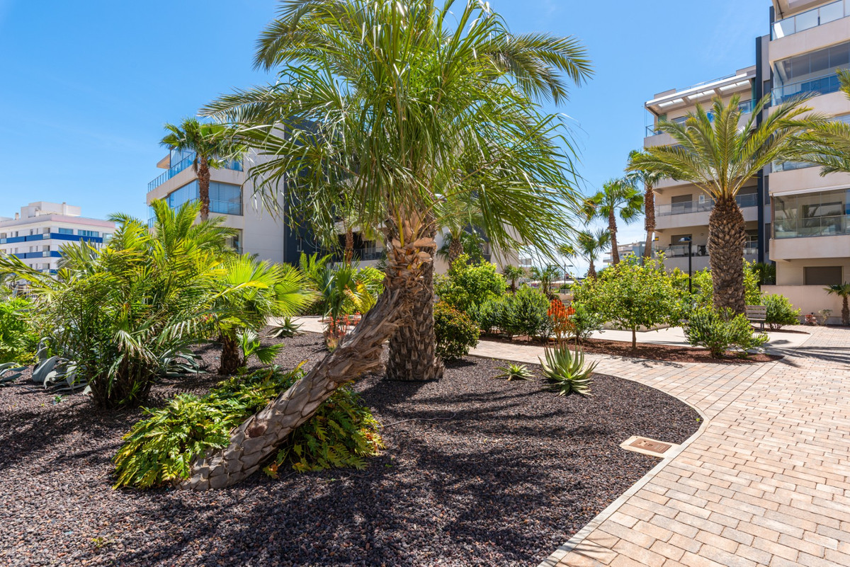 For sale - 3 Bedroom 2 Bathroom Apartment - Ground Floor Apartment in Orihuela - Orihuela Costa  - Alicante