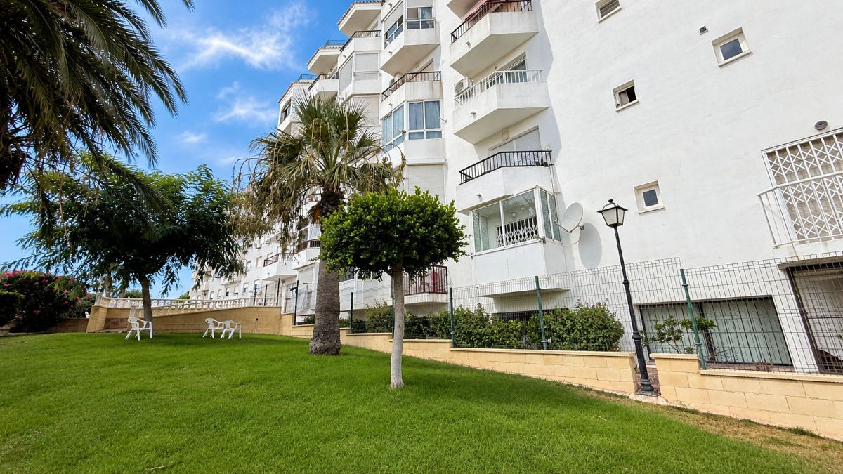 For sale - 1 Bedroom 1 Bathroom Apartment - Middle Floor Apartment in Torrevieja - Torrevieja Centro  - Alicante