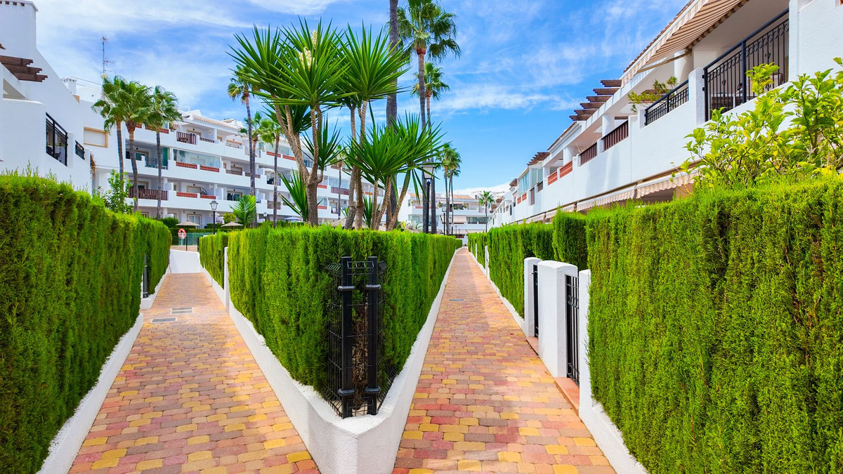 For sale - 2 Bedroom 2 Bathroom Apartment - Top Floor Apartment in Orihuela - Orihuela Costa  - Alicante